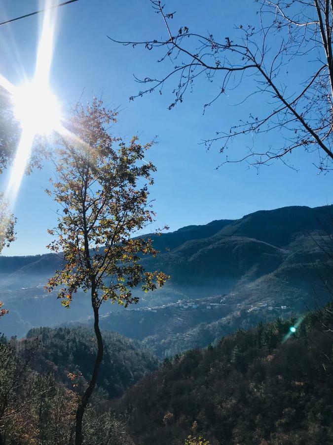 Parada  "Casa Do Avo Patricio" Mountain Experienceヴィラ エクステリア 写真
