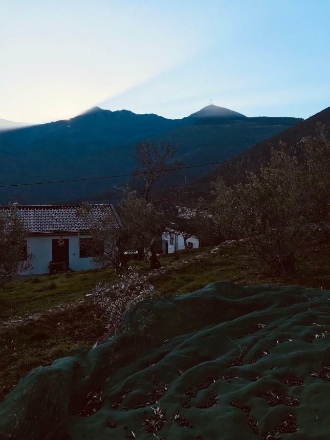 Parada  "Casa Do Avo Patricio" Mountain Experienceヴィラ エクステリア 写真